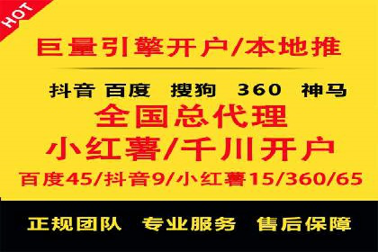专业SEM服务托管方案案例分析